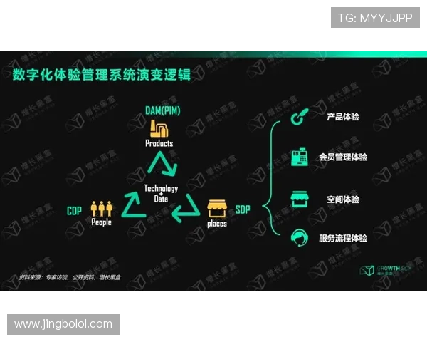 胜利体育赛事直播平台的优势与用户体验优化策略详解