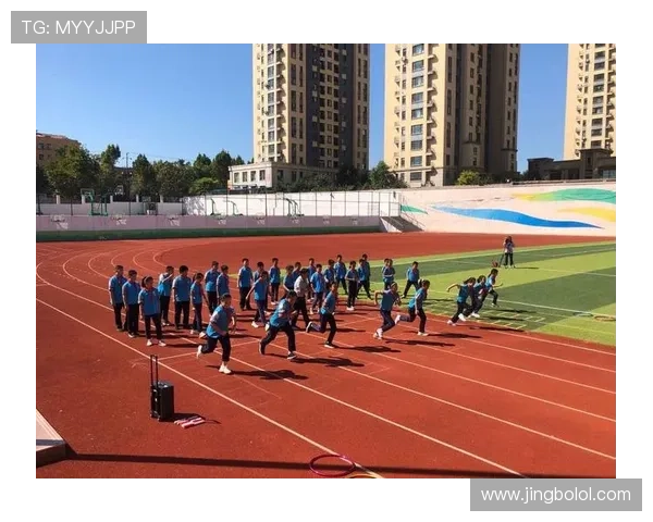 顶盛体育入口：如何选择最优质的体育赛事平台